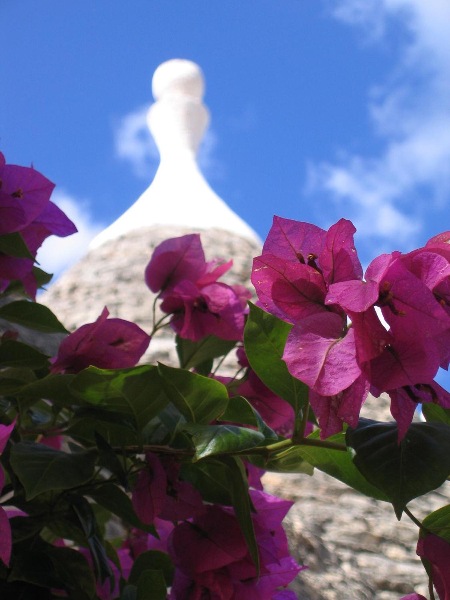 Vacanza In Puglia Alberobello Esterno foto