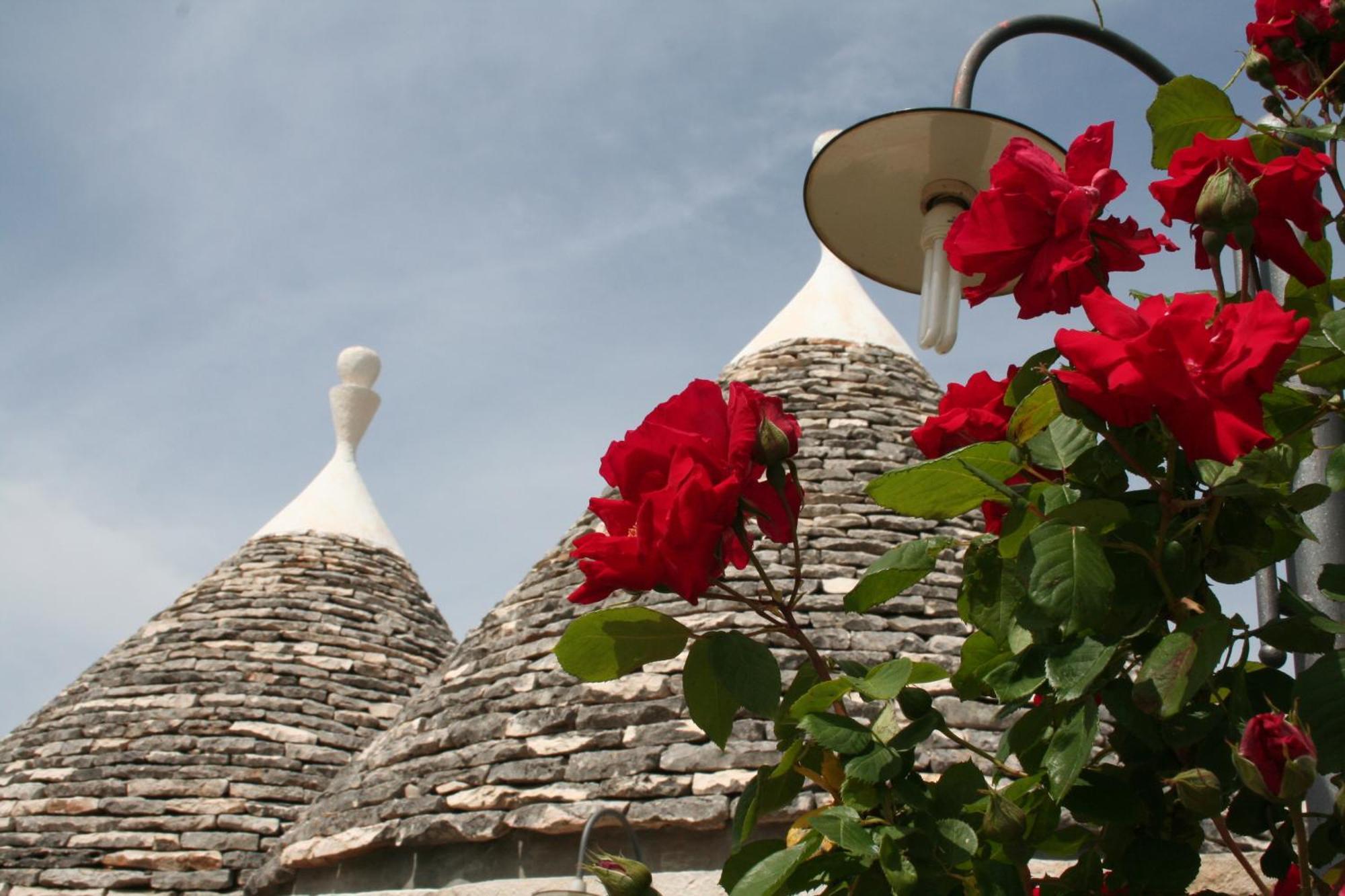 Vacanza In Puglia Alberobello Esterno foto
